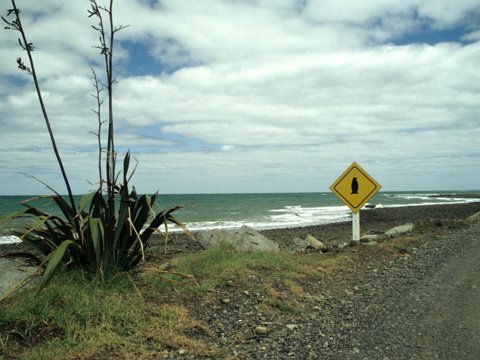 Neuseeland Rundreise mit dem Wohnmobil - Februar/März 1999 eCard versenden / [Tag 9 (01-03)] Nordinsel - Fletcher Bay