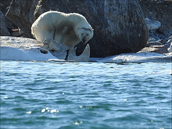 2017 Spitzbergen - Thumbnail Logbuch